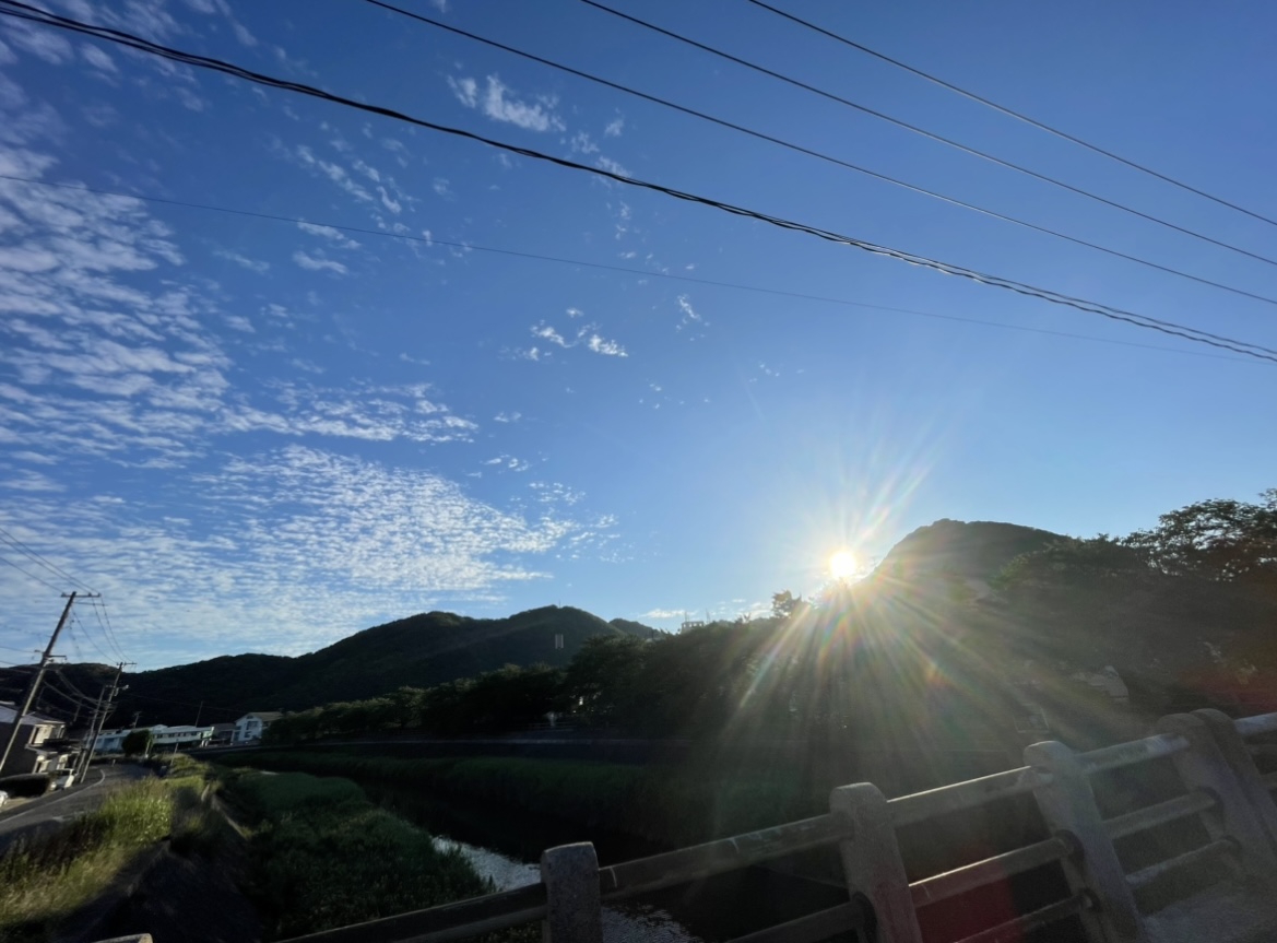 朝から暑い＆虐待です
