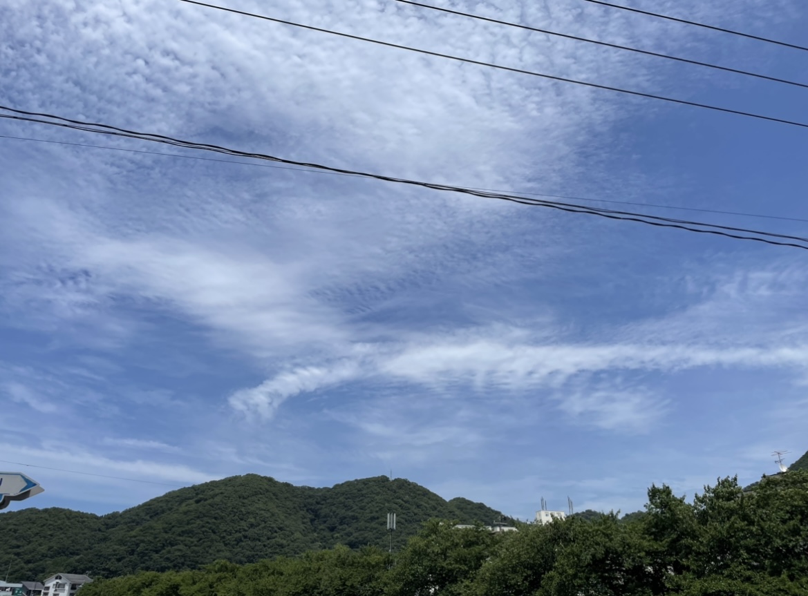 朝から暑い＆虐待です
