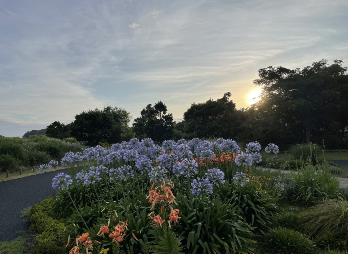 湖山池公園