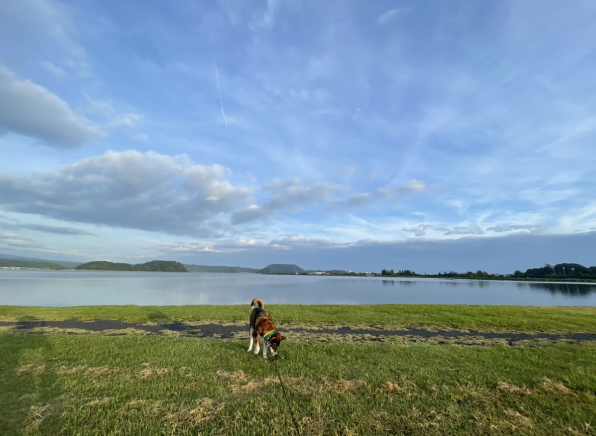 湖山池公園