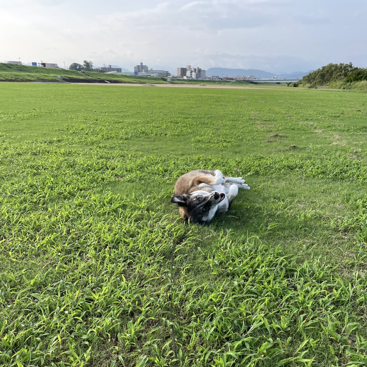秋の気配