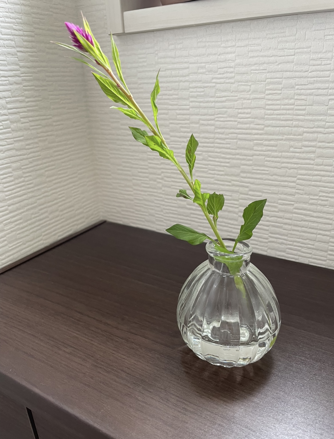 一本の切り花から